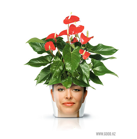 flower-head